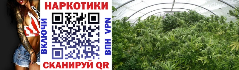 Сколько стоит Северская A-PVP  Cocaine  МЕФ  Бошки Шишки 