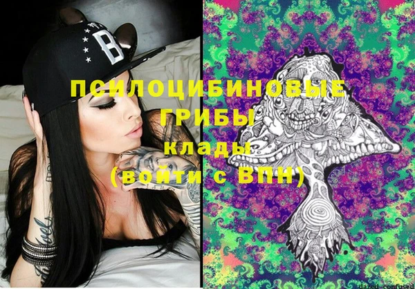 экстази Няндома