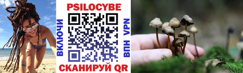Галлюциногенные грибы ЛСД  хочу   Северская 